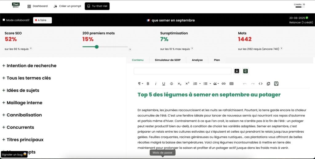 Dashboard de ThotSEO, outil d'optimisation sémantique